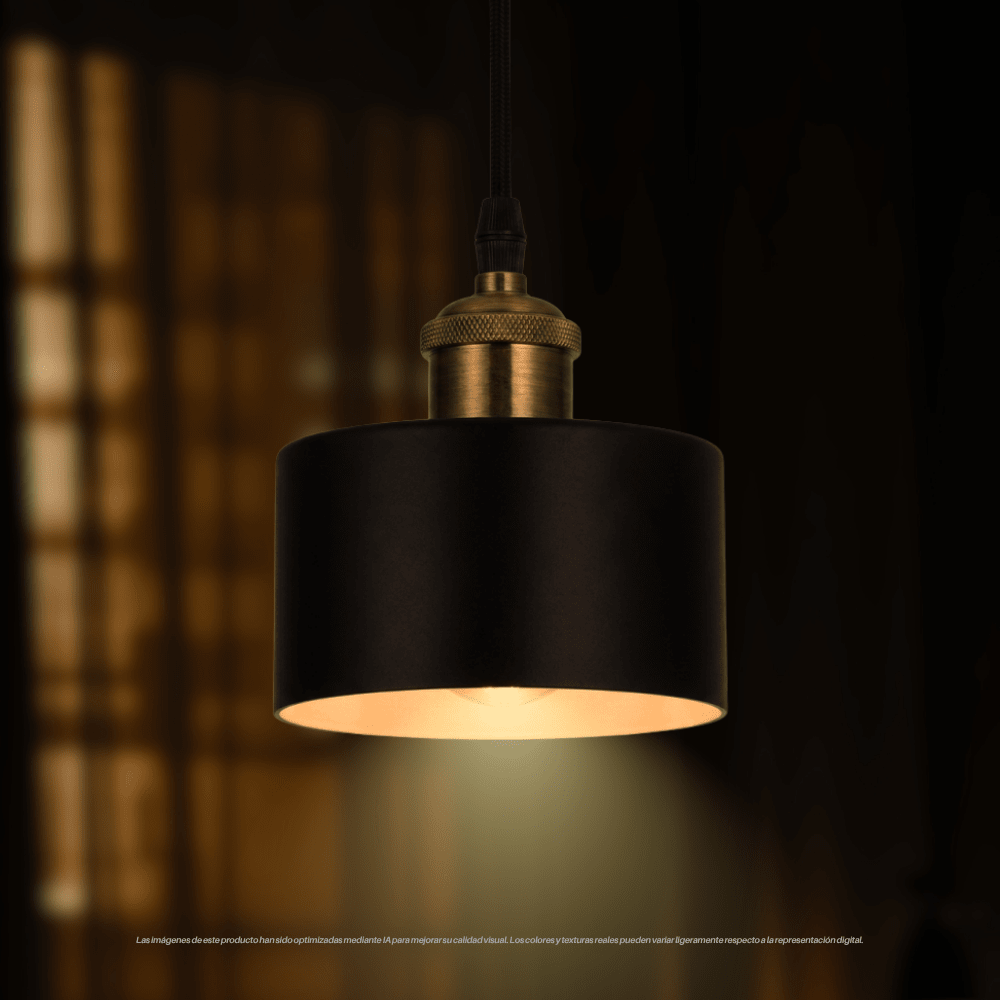 LAMPARA COLGANTE NEGRA 1XE272