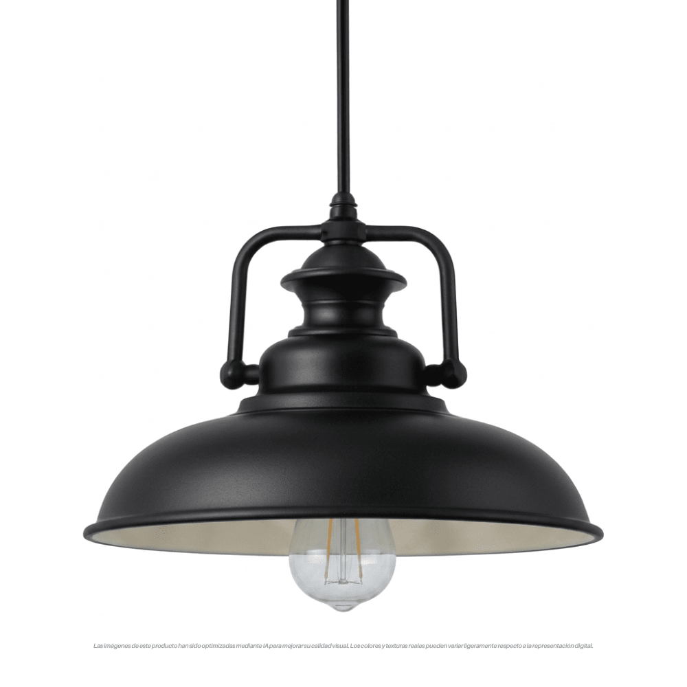 LAMPARA COLGANTE NEGRA HIERRO 1XE27 0