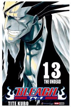BLEACH 13