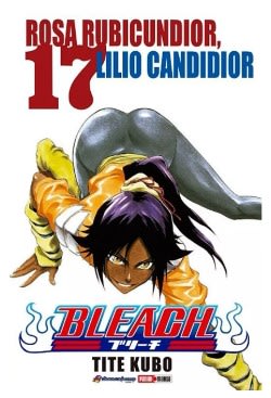 BLEACH 17