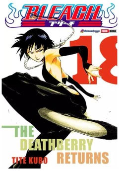 BLEACH 18