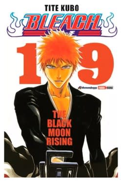 BLEACH 19