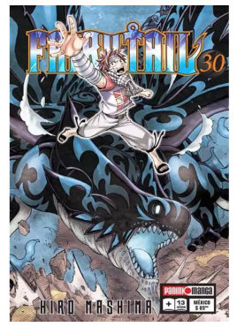 FAIRY TAIL 30