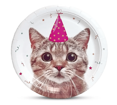 PLATO GATO 23 CM X6 UND