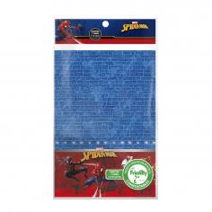 MANTEL SPIDERMAN 1 UND