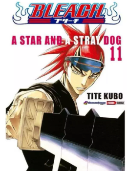 BLEACH 11