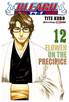 BLEACH 12