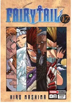 FAIRY TAIL 17