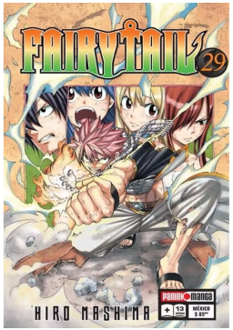 FAIRY TAIL 29