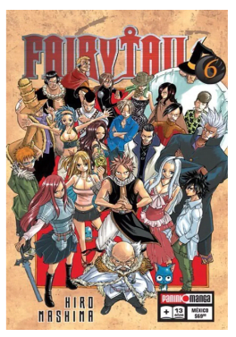 FAIRY TAIL 6