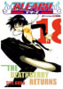 BLEACH 181