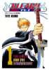 BLEACH 11