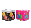 CAJA REGALO PLEGABLE GLOBOS 22CM1