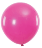 SET GLOBOS 25 UND FUCSIA 25 CM1