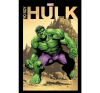 YO SOY HULK1