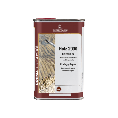 HOLZ 2000
