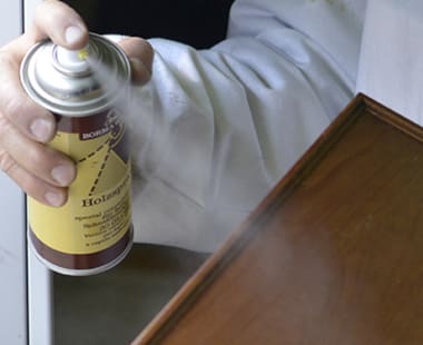HOLZSPRAY LACA DE RETOQUE EN SPRAY
