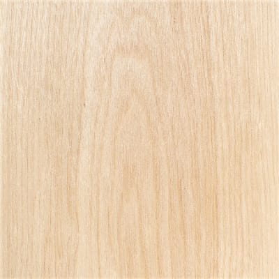 ABEDUL FAS (BIRCH)