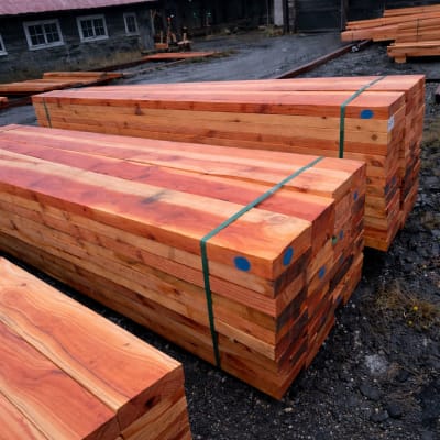 OREGON BRUTO SECO CAMARA