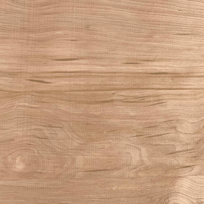 LENGA SELECTA SUPERIOR