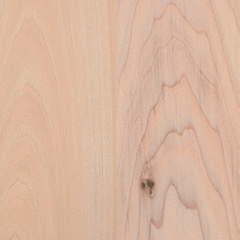 Miniatura de BASSWOOD FAS (TILO)