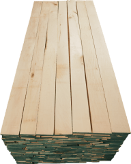Miniatura de BASSWOOD FAS (TILO)