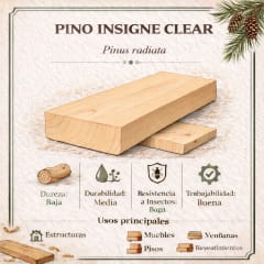 Miniatura de PINO INSIGNE  CLEAR