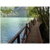 Miniatura de DECKING OIL 5 LT