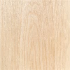 Miniatura de ABEDUL FAS (BIRCH)