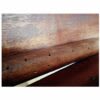 Miniatura de HOLZ 2000