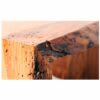 Miniatura de HOLZ 2000