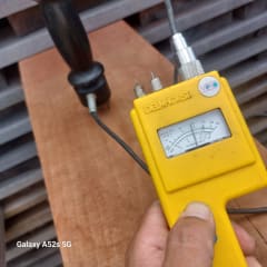 Miniatura de RAULI CALIDAD A