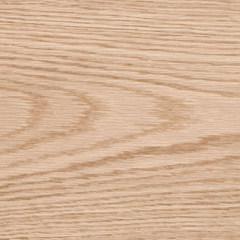 Miniatura de RED OAK (ROBLE AMERICANO)