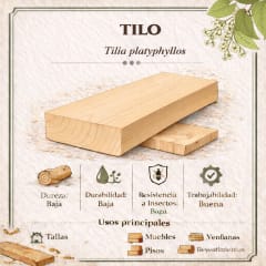 Miniatura de BASSWOOD FAS (TILO)