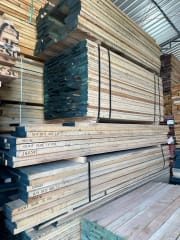 Miniatura de RED OAK (ROBLE AMERICANO)