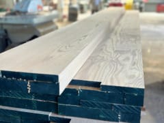Miniatura de RED OAK (ROBLE AMERICANO)