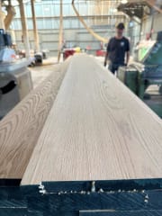 Miniatura de RED OAK (ROBLE AMERICANO)