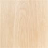 ABEDUL FAS (BIRCH)1