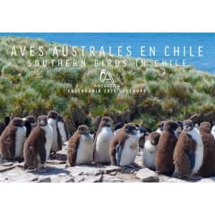 CALENDARIO ANTARTICA 2025. AVES AUSTRALES