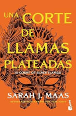 UNA CORTE DE LLAMAS PLATEADAS (ACOTAR 5)