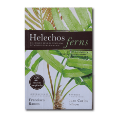 HELECHOS FERNS