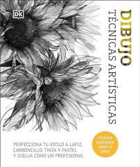 DIBUJO. TÉCNICAS ARTÍSTICAS