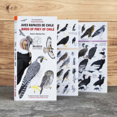 CARTILLA AVES RAPACES