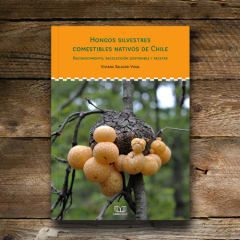 HONGOS SILVESTRES COMESTIBLES NATIVOS DE CHILE