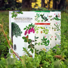 CARTILLA ARBOLES  NATIVOS ZONA SUR Y PATAGONIA