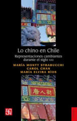 LO CHINO EN CHILE. REPRESENTACIONES CAMBIANTES DURANTE EL SIGLO XXI
