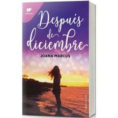 DESPUÉS DE DICIEMBRE