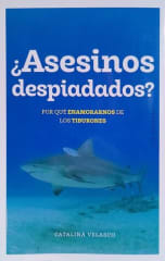 ¿ASESINOS DESPIADADOS? POR QUÉ ENAMORARNOS DE LOS TIBURONES