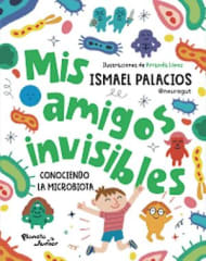 MIS AMIGOS INVISIBLES