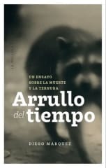 ARRULLO DEL TIEMPO